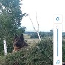 ���� ������, ����, 39 ��� - ��������� 16 ������ 2024 � ������ ���� ����������
