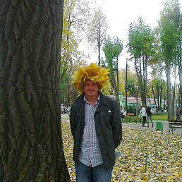 �������, �����, 49 ���