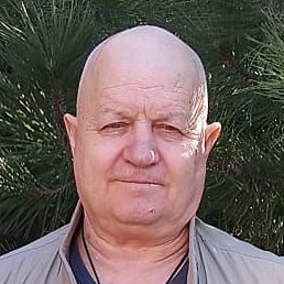 �������, ������, 65 ���