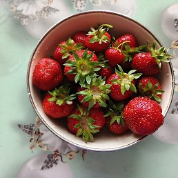 �����, ���, 26 ���