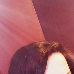 ���������, �����-���������, 41 ���