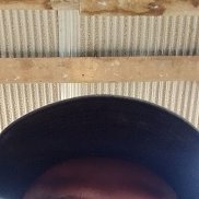 Nadia Ariwibowo, 20 ���, ��������