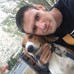 �����, 28 ���, ���������