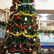 �������, 38 ���, ������ 