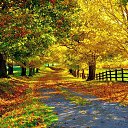 ���� ���, ���������, 51 ��� - ��������� 11 ������� 2026 � ������ ���� ����������
