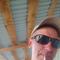 , 43, 