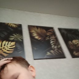 ������., ��������, 21 ���