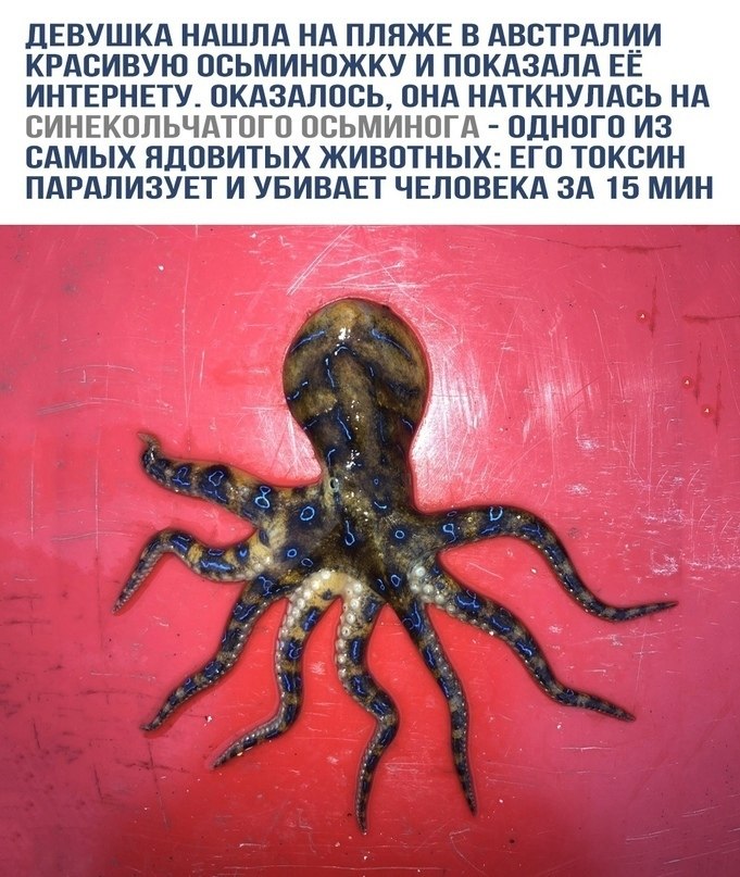   ,     ...