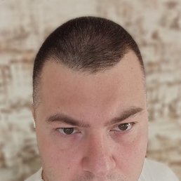 ,  , 31 