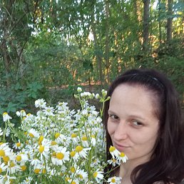 , 29, 