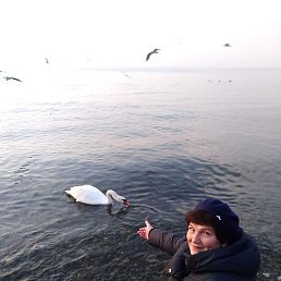 ���������, ���������