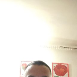 ������, ����������, 38 ���