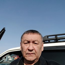  , 66, 