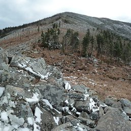 �������, �����������, 35 ���