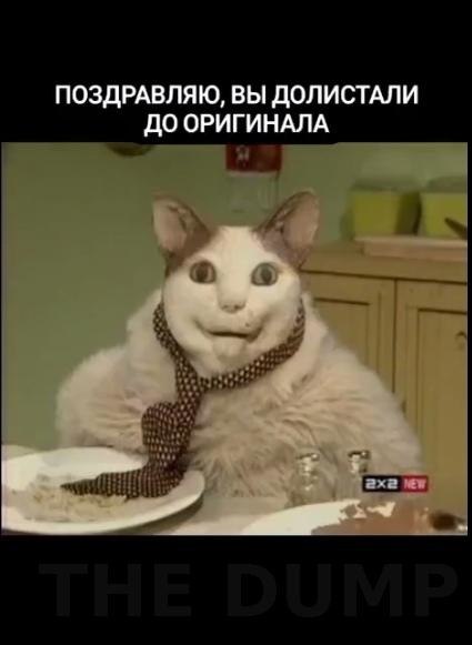  coax cex a ooe eo  oy c po oo. Ka coc, cpax ceye ...