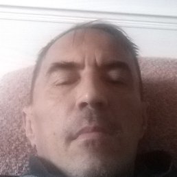 ������, ���, 46 ���