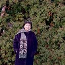 ���� �����, ������, 62 ���� - ��������� 14 ������ 2026