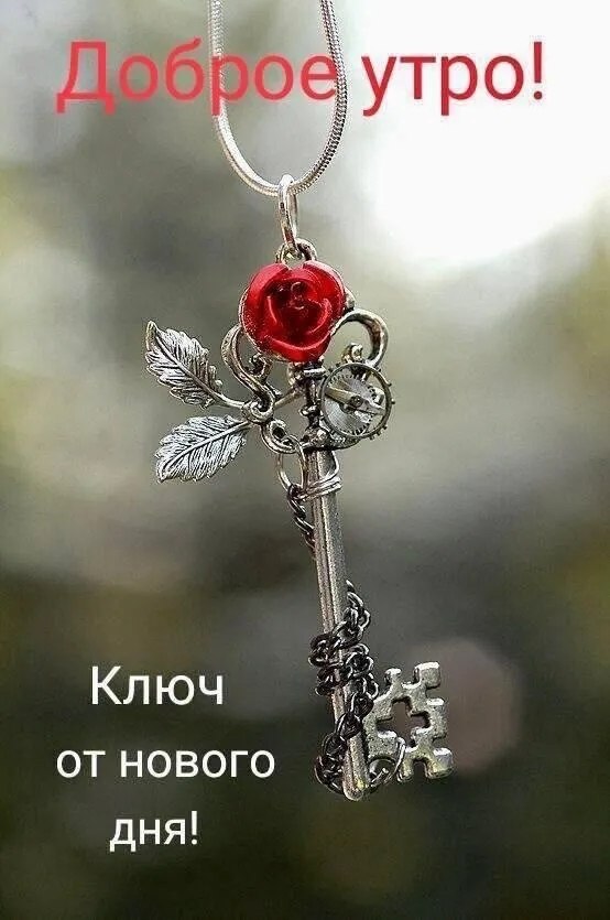 ***Victoria Viktorovna*** - 11  2025  04:35 - 2