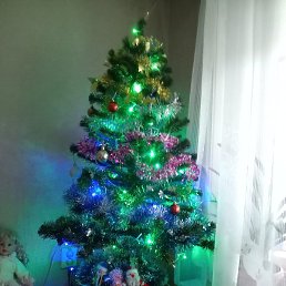 ���, ������ ��������, 43 ����