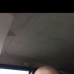 , 41, 