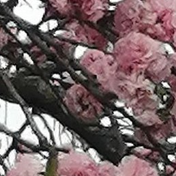 ������, ���������, 63 ����