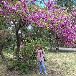 ����, �����, 62 ����