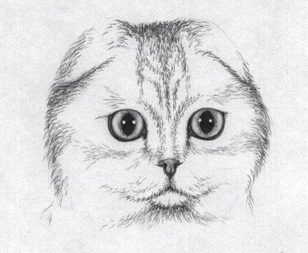 ������ ������ ������� ���������� - 5