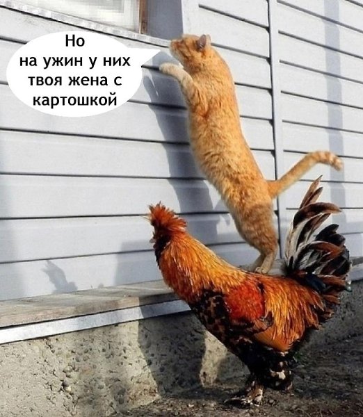 ����� ����� ��� ���� ������� - 3