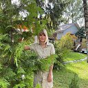 ���� �����, ������, 61 ��� - ��������� 9 ������ 2026 � ������ ���� ����������