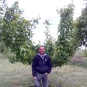 ���� �����, ��������, 46 ��� - ��������� 1 ���� 2024 � ������ ���� ����������