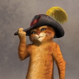 �������, �����-���������, 33 ����