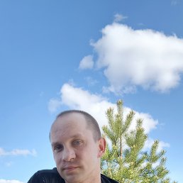 , 37, 
