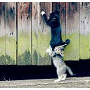 ���� ������, ���������, 62 ���� - ��������� 7 ������ 2024 � ������ ������ ��������