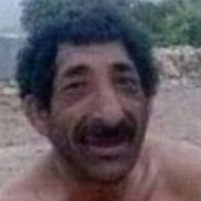 ���, 38 ���, �����-���������