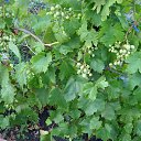 ���� �����, �������� - ��������� 26 ���� 2025 � ������ ������� 2025�