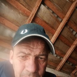 ������, �����, 41 ���