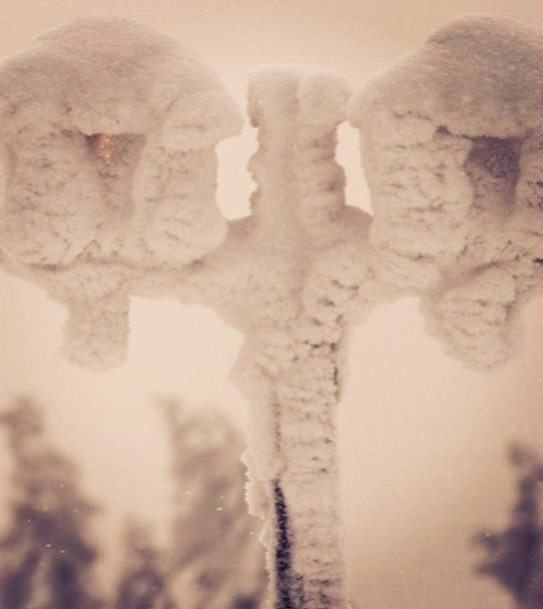 ����� � ������ - 20 ������� 2025 � 18:23 - 6