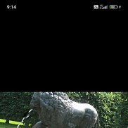 �������, 55 ���, ������