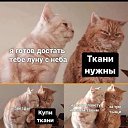 ���� ������, ������ ��������, 59 ��� - ��������� 23 ������ 2023 � ������ ������ ��������
