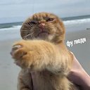 ���� �������, �������, 21 ��� - ��������� 15 ������� 2024 � ������ ���� ����������