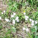 ���� ����, ������������, 45 ��� - ��������� 28 ���� 2024