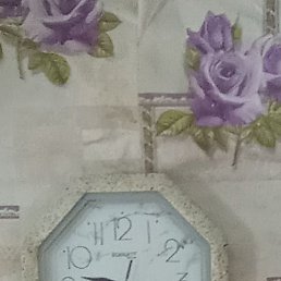 ������, ������������, 64 ����