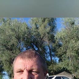 ���� ����, ������, 56 ��� - ��������� 14 ������� 2026