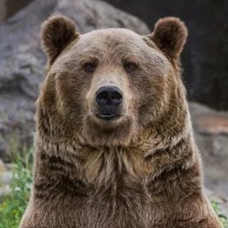 ��������, ������, 39 ���