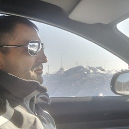 ���������, �����������, 43 ����