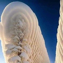 ���� ������, ������������, 54 ���� - ��������� 9 ������ 2023