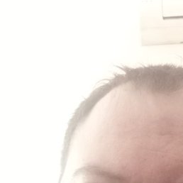 �������, ������ ��������, 36 ���