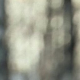 Olegus, �������, 19 ���
