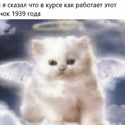 Max, �������, 29 ���