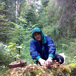 �����, �����������